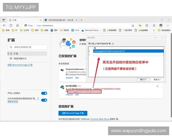 3118云顶集团在国际市场中的扩展策略及合作伙伴关系发展前景展望