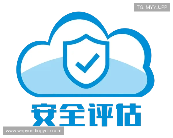 云顶国际集团app安全性评估与使用技巧解析