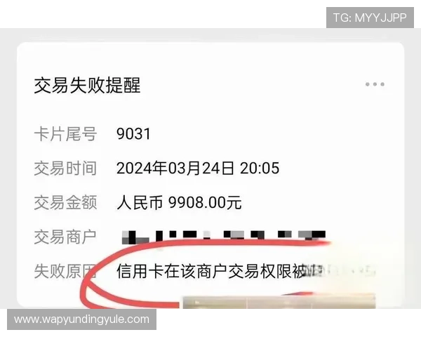 云顶集团网赌引发的法律责任与用户应注意的法律风险 云顶集团网赌引发的法律责任与用户应注意的法律风险