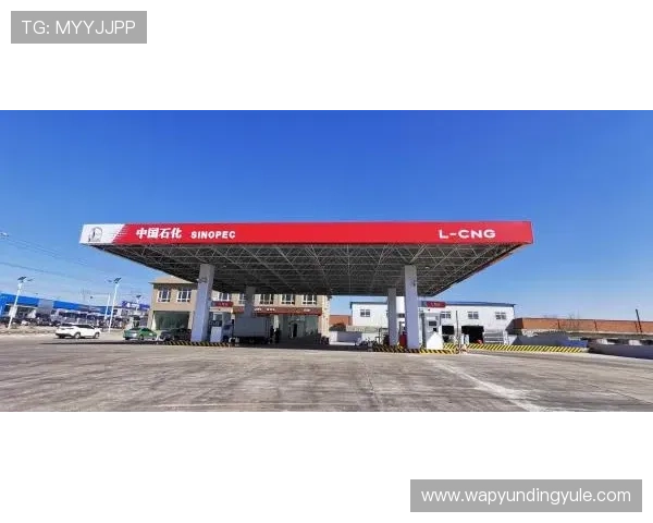 如何快速找到datatft云顶官网入口，确保顺利进入平台操作