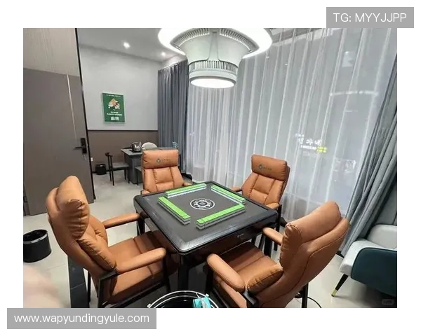 最火棋牌娱乐大全：高收益棋牌娱乐项目分析与盈利模式探讨