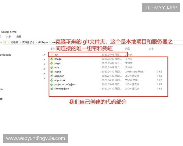 适合新手的炸金花小程序推荐，零基础也能轻松上手的入门指南