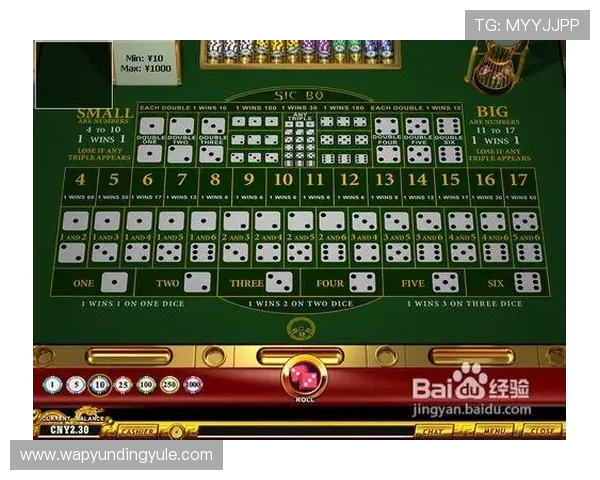 骰宝游戏规则详解让新手快速掌握玩法技巧全面解析